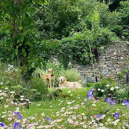 Nyaraló Beautiful Renovated Stone House For Dog Friendly, Quayside Location *