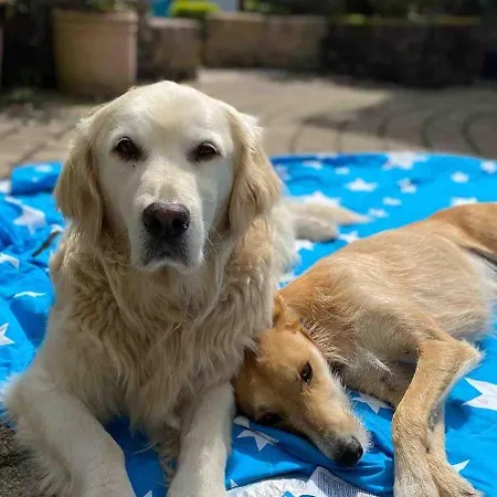 Beautiful Renovated Stone House For Dog Friendly, Quayside Location *