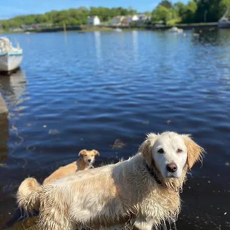 Beautiful Renovated Stone House For Dog Friendly, Quayside Location 度假居 *