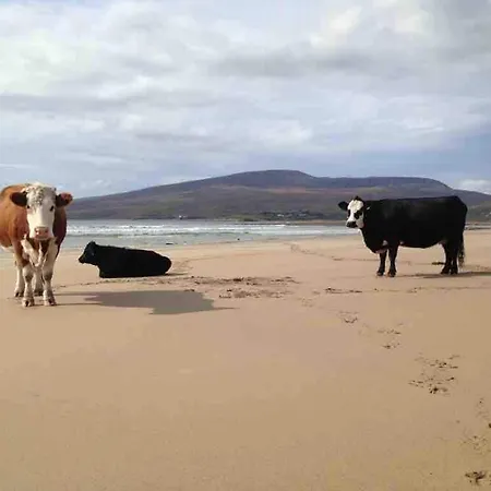 Beautiful Renovated Stone House For Dog Friendly, Quayside Location * Newport (Mayo)