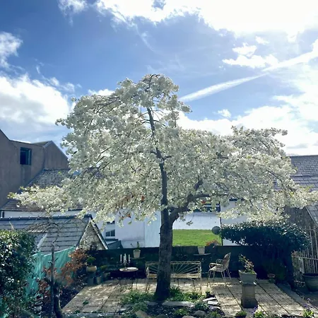 Beautiful Renovated Stone House For Dog Friendly, Quayside Location Newport (Mayo)