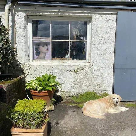 Beautiful Renovated Stone House For Dog Friendly, Quayside Location Newport (Mayo)
