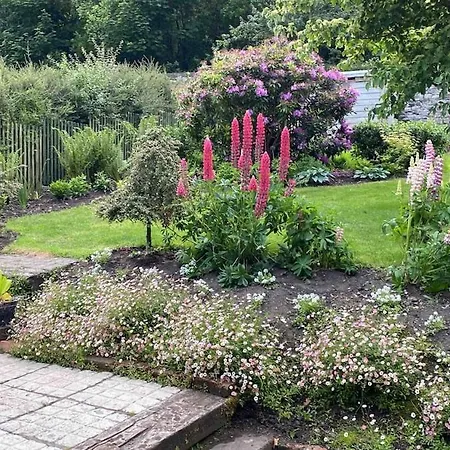 Beautiful Renovated Stone House For Dog Friendly, Quayside Location Newport (Mayo)