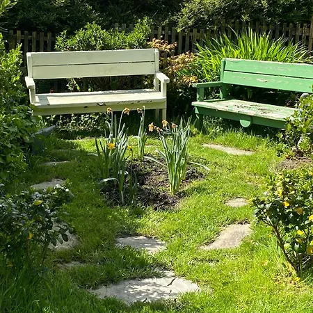 Beautiful Renovated Stone House For Dog Friendly, Quayside Location Newport (Mayo)