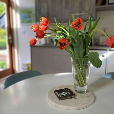 Beautiful Renovated Stone House For Dog Friendly, Quayside Location